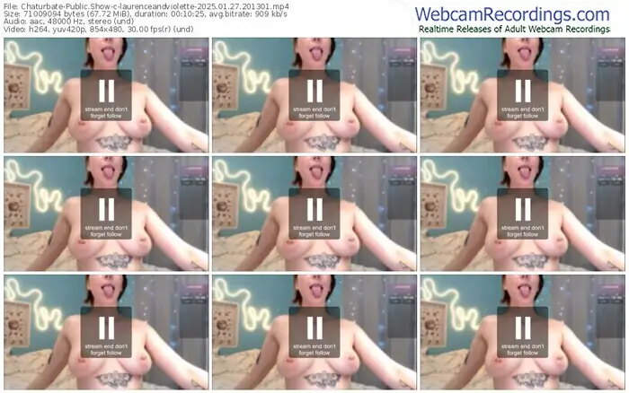 chaturbate-laurenceandviolette-01-27-2025-20-13-01