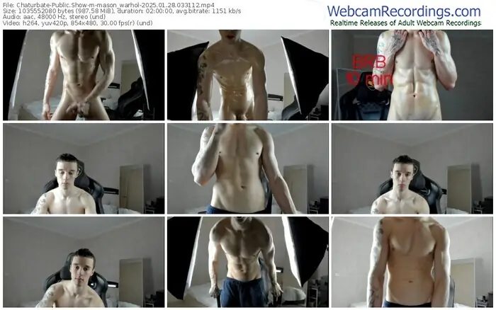 chaturbate-mason_warhol-01-28-2025-03-31-12