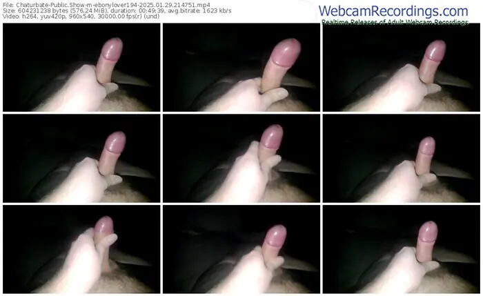 chaturbate-ebonylover194-01-29-2025-21-47-51