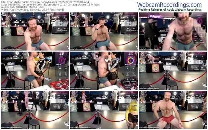 chaturbate-donnybasilisk-02-02-2025-23-36-38