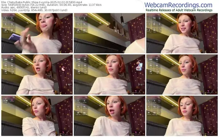 chaturbate-vynila-02-02-2025-01-58-30