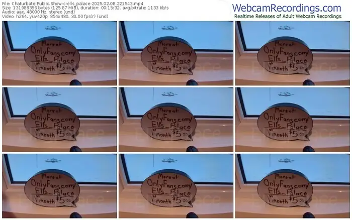 chaturbate-ells_palace-02-08-2025-22-15-43