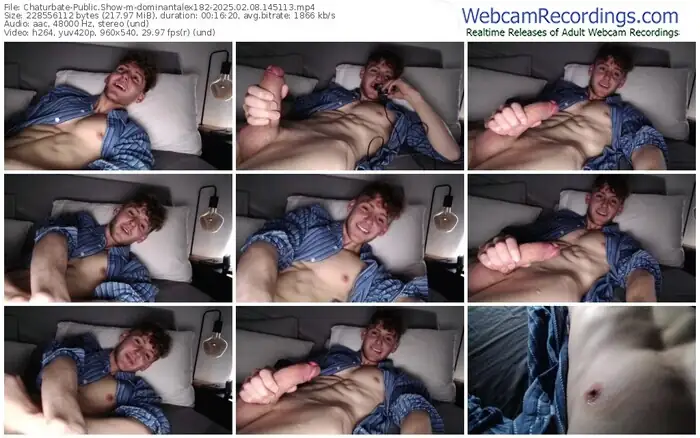 chaturbate-dominantalex182-02-08-2025-14-51-13