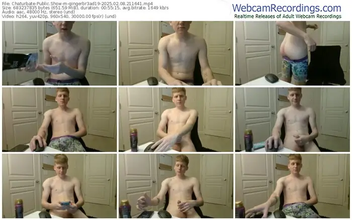 chaturbate-gingerbr3ad19-02-08-2025-21-16-41