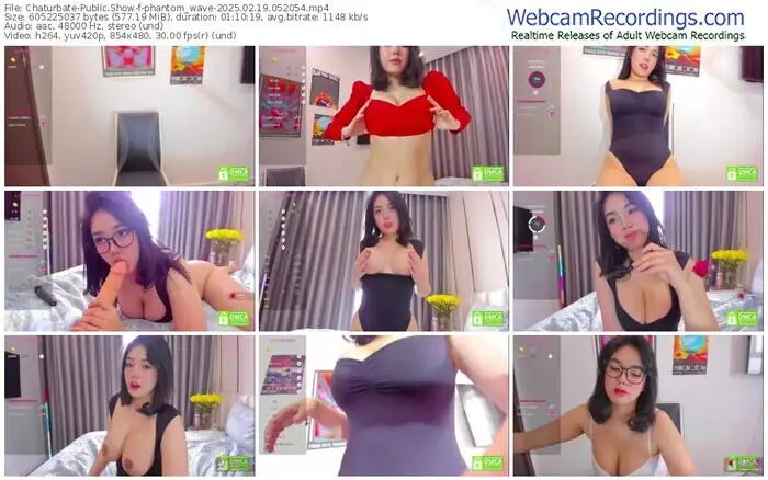 chaturbate-phantom_wave-02-19-2025-05-20-54