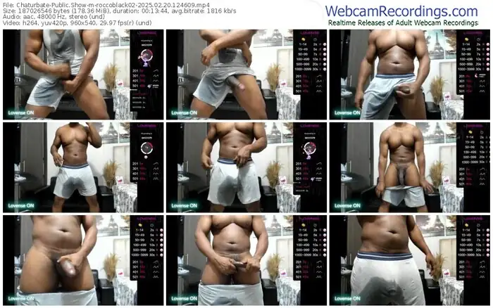 chaturbate-roccoblack02-02-20-2025-12-46-09