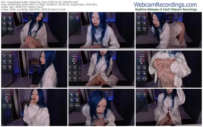 chaturbate-le_chan-02-21-2025-18-04-44