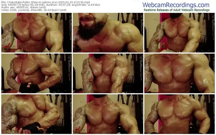 chaturbate-adonis_msc-02-23-2025-21-31-33