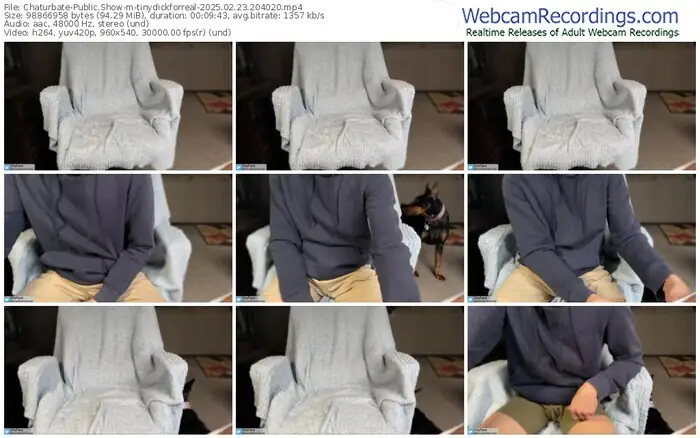 chaturbate-tinydickforreal-02-23-2025-20-40-20