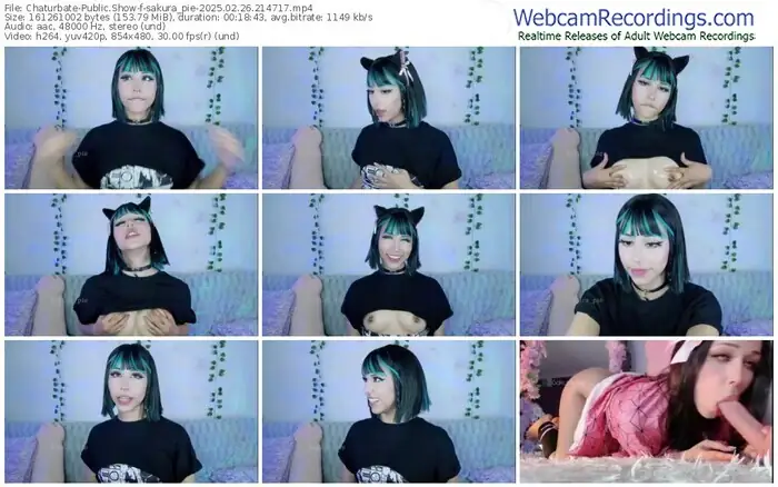 chaturbate-sakura_pie-02-26-2025-21-47-17
