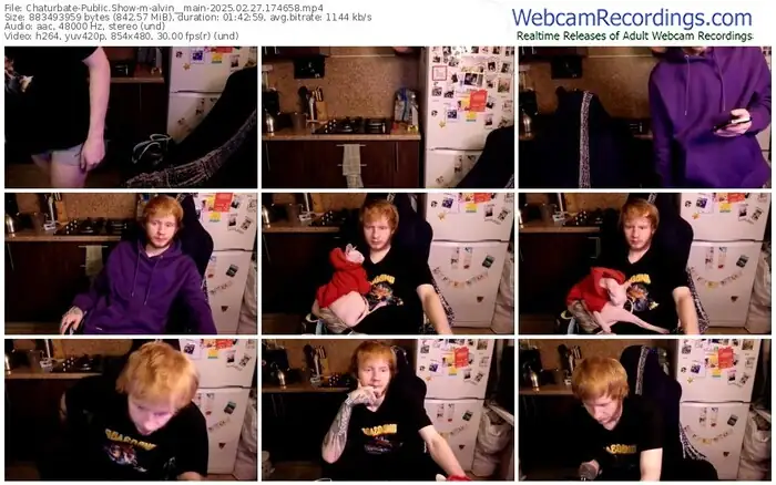 chaturbate-alvin__main-02-27-2025-17-46-58