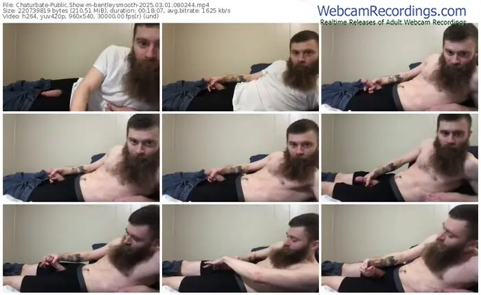 chaturbate-bentleysmooth-03-01-2025-08-02-44