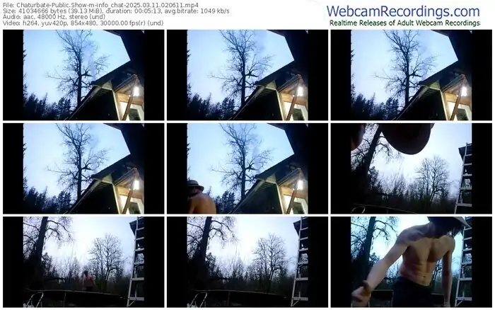 chaturbate-info_chat-03-11-2025-02-06-11