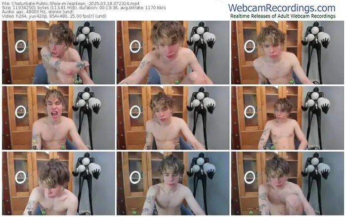 chaturbate-leanlean_-03-18-2025-07-23-24