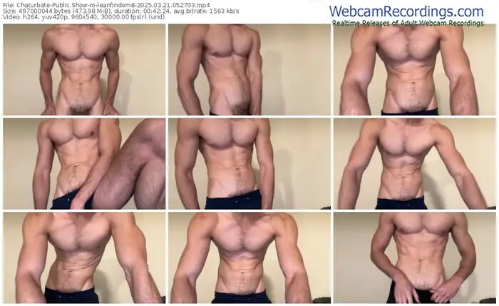chaturbate-leanfindom8-03-21-2025-05-27-03