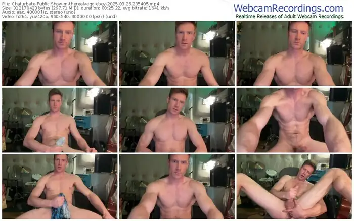 chaturbate-therealveggieboy-03-26-2025-23-54-05