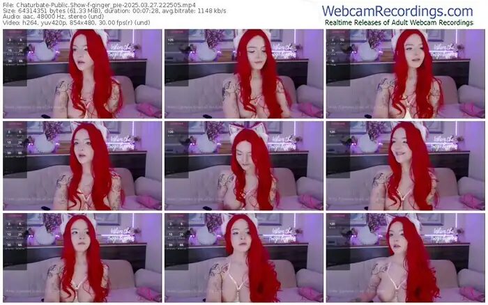 chaturbate-ginger_pie-03-27-2025-22-25-05