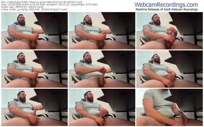chaturbate-gnorris88-03-28-2025-18-02-01
