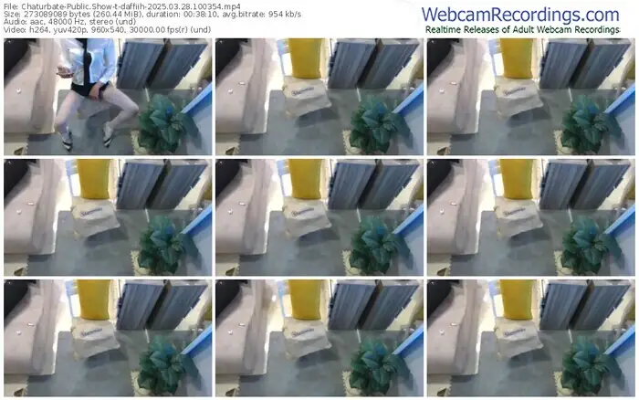 chaturbate-daffiih-03-28-2025-10-03-54