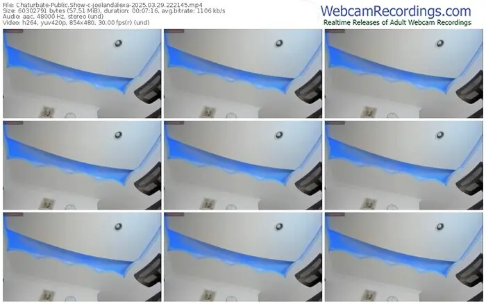 chaturbate-joelandalexa-03-29-2025-22-21-45