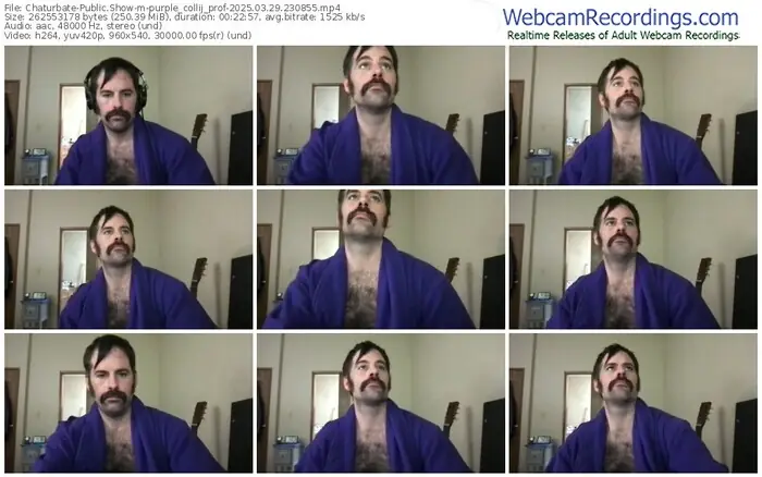 chaturbate-purple_collij_prof-03-29-2025-23-08-55