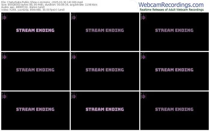chaturbate-minions_-03-30-2025-14-13-00