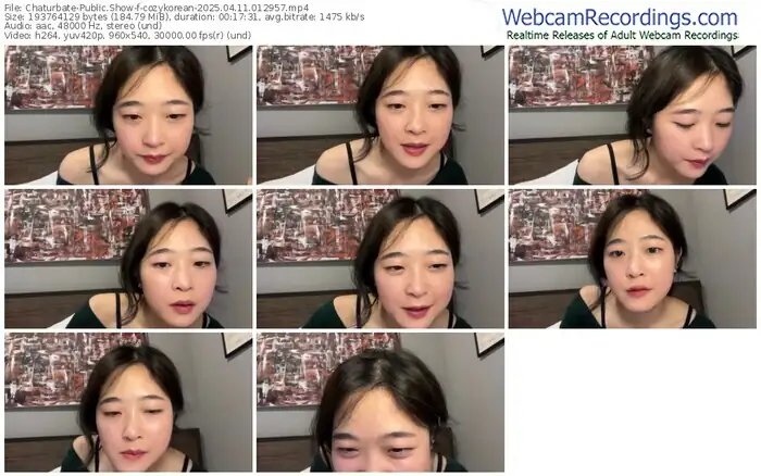 chaturbate-cozykorean-04-11-2025-01-29-57