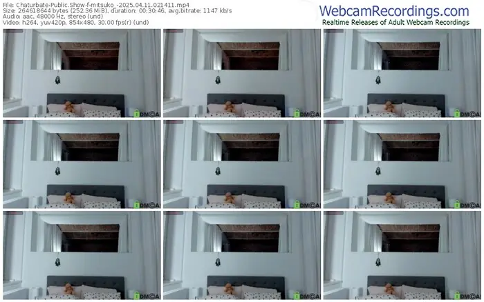 chaturbate-mitsuko_-04-11-2025-02-14-11