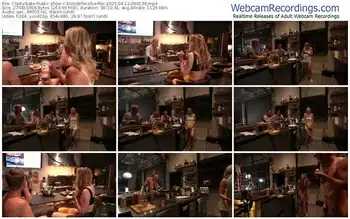 chaturbate-blondefoxsilverfox-04-12-2025-06-01-36