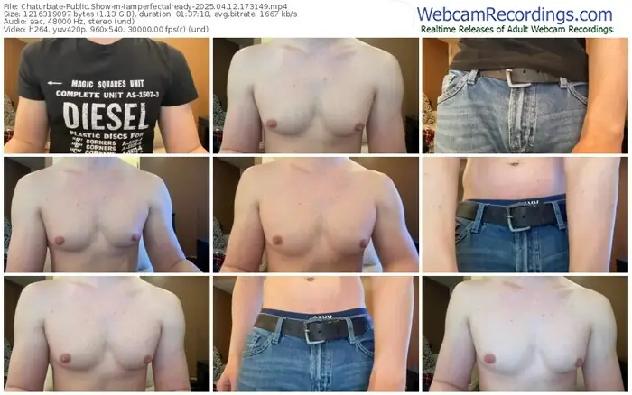 chaturbate-iamperfectalready-04-12-2025-17-31-49