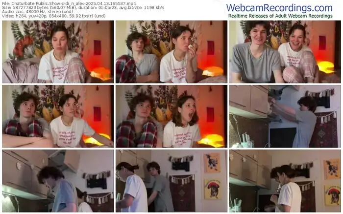 chaturbate-di_n_alex-04-13-2025-16-55-37