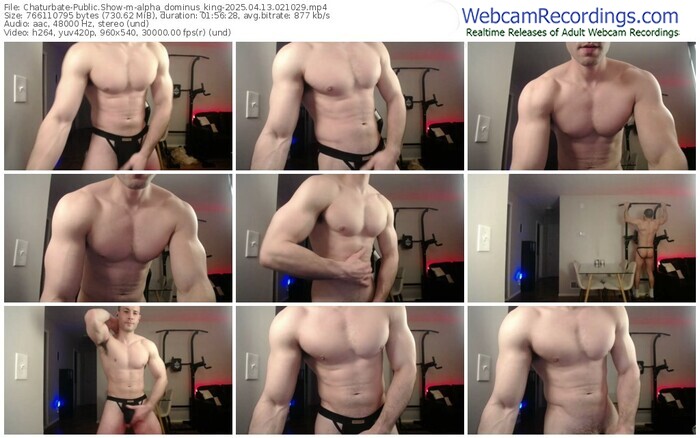 chaturbate-alpha_dominus_king-04-13-2025-02-10-29
