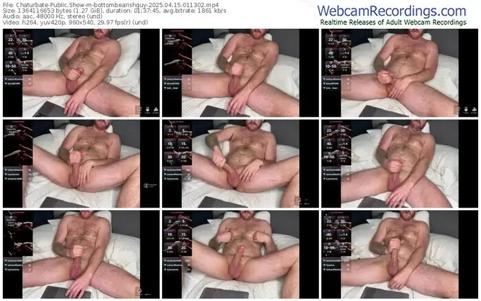 chaturbate-bottombearishguy-04-15-2025-01-13-02