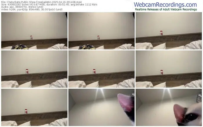 chaturbate-realjadebri-04-16-2025-20-14-28