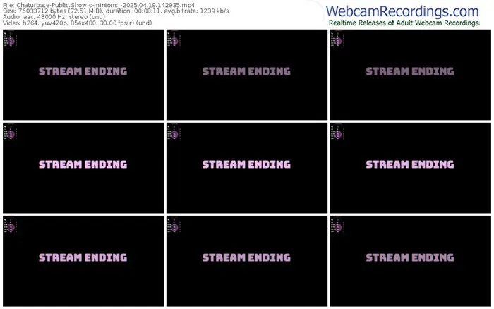 chaturbate-minions_-04-19-2025-14-29-35