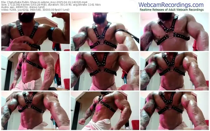 chaturbate-adonis_msc-04-19-2025-14-16-20