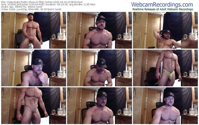 chaturbate-9fat_inches-04-20-2025-21-08-30