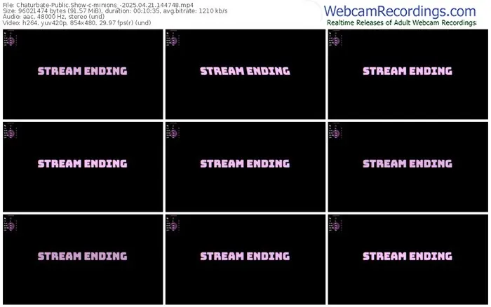 chaturbate-minions_-04-21-2025-14-47-48