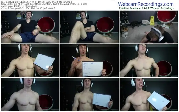 chaturbate-sydaffect-04-22-2025-04-06-34