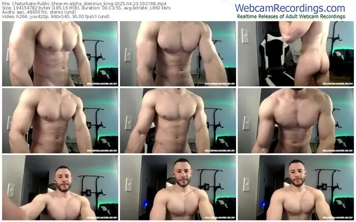 chaturbate-alpha_dominus_king-04-23-2025-19-27-48