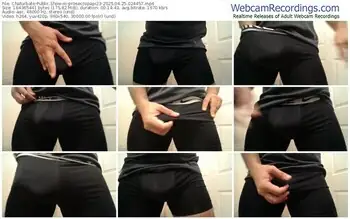 chaturbate-proseccopapi23-04-25-2025-02-44-57