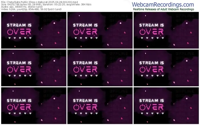 chaturbate-8abycat-04-28-2025-00-12-00