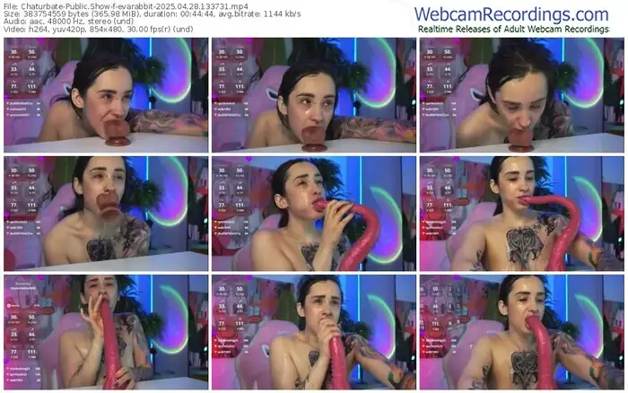 chaturbate-evarabbit-04-28-2025-13-37-31