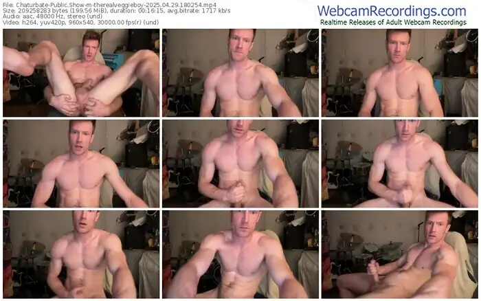 chaturbate-therealveggieboy-04-29-2025-18-02-54