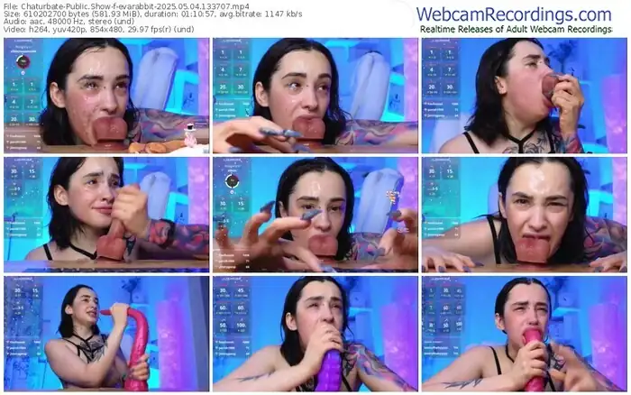chaturbate-evarabbit-05-04-2025-13-37-07