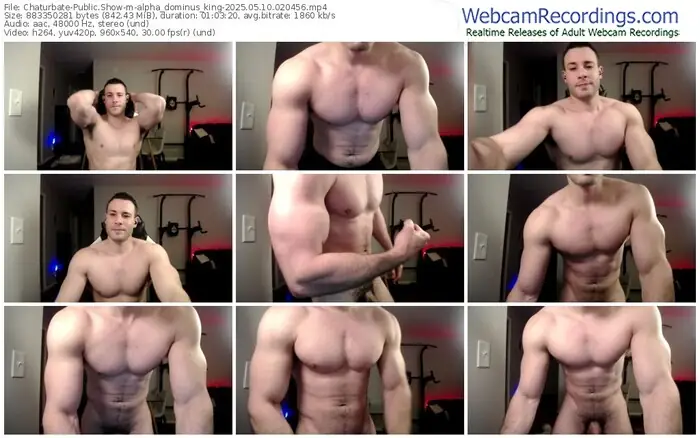 chaturbate-alpha_dominus_king-05-10-2025-02-04-56