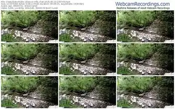 chaturbate-info_chat-05-10-2025-23-57-49