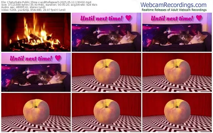 chaturbate-widthofapeach-05-12-2025-13-04-32