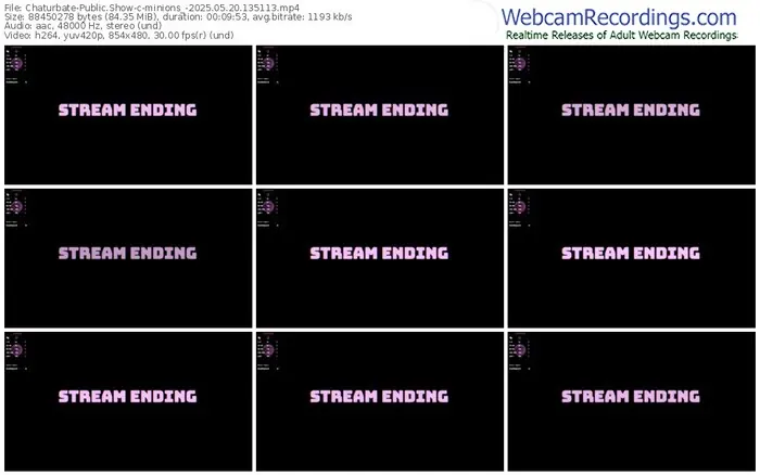 chaturbate-minions_-05-20-2025-13-51-13