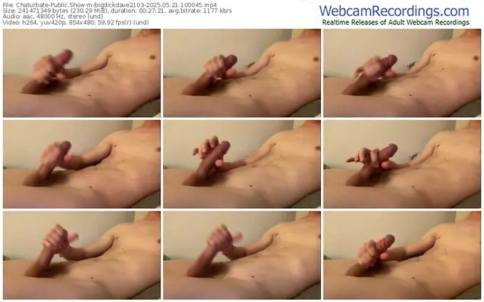 chaturbate-bigdickdave2103-05-21-2025-10-00-45